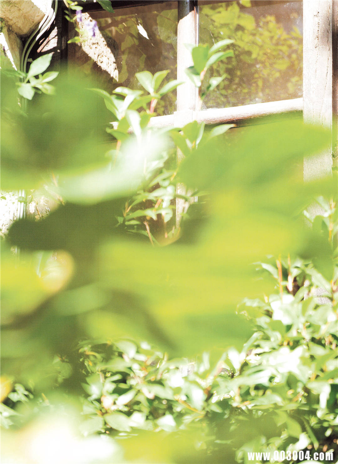 [乃木坂46]堀未央奈2nd写真集《いつかの待ち合わせ場所》