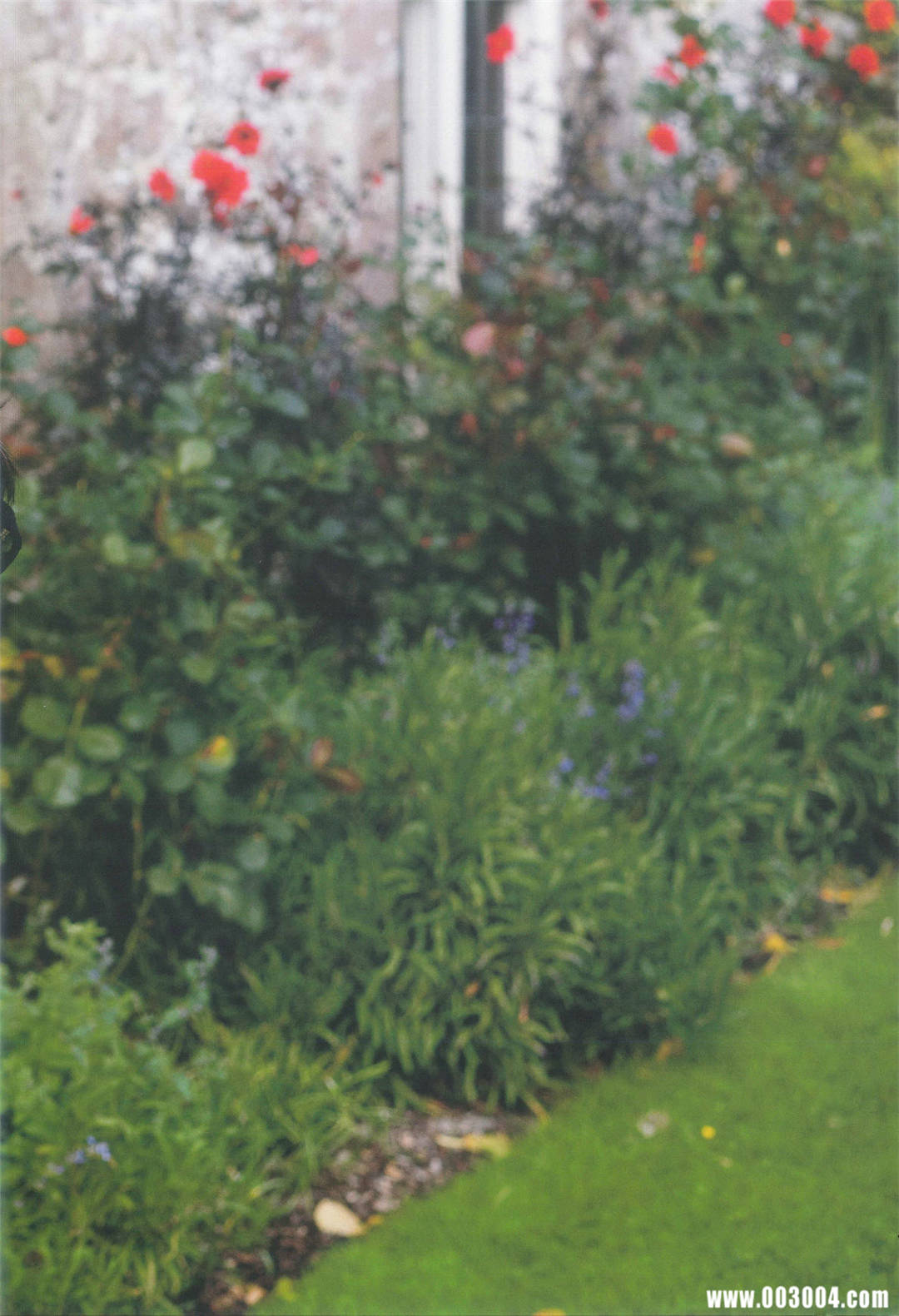 真野惠里菜 写真集 『 ERINA 』高清全本