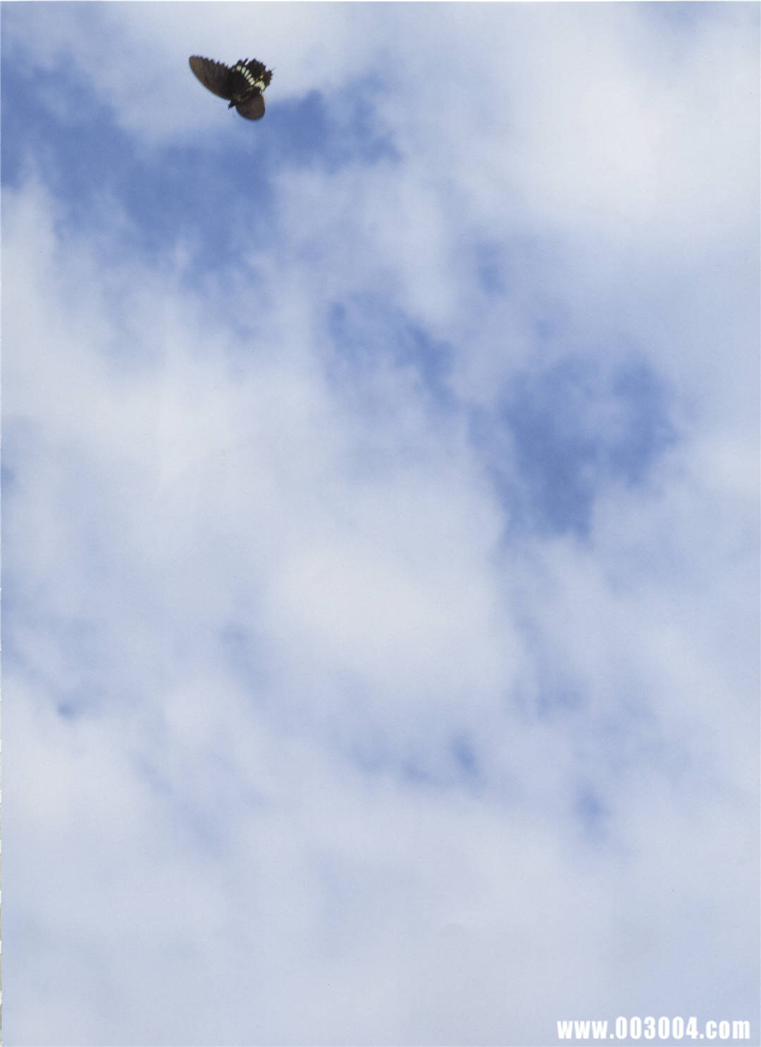 中村爱美 写真集 《Lyin Eyes》高清全本