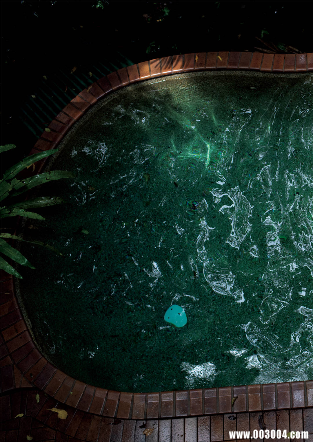 奥山和纱1ST写真集《かずさ》高清全本