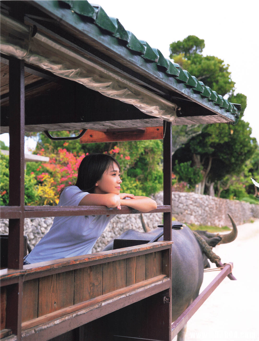 “性感”到了牙齿 | 秋元真夏2nd写真集《しあわせにしたい》