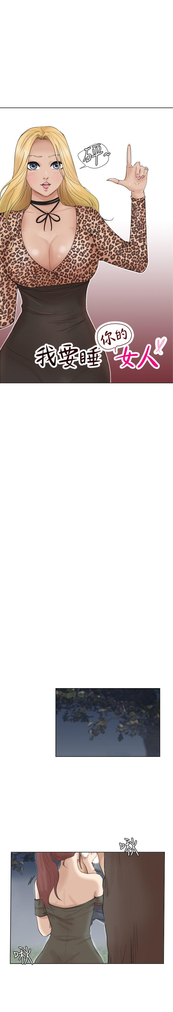 爱上属于别人的你/我要睡你的女人