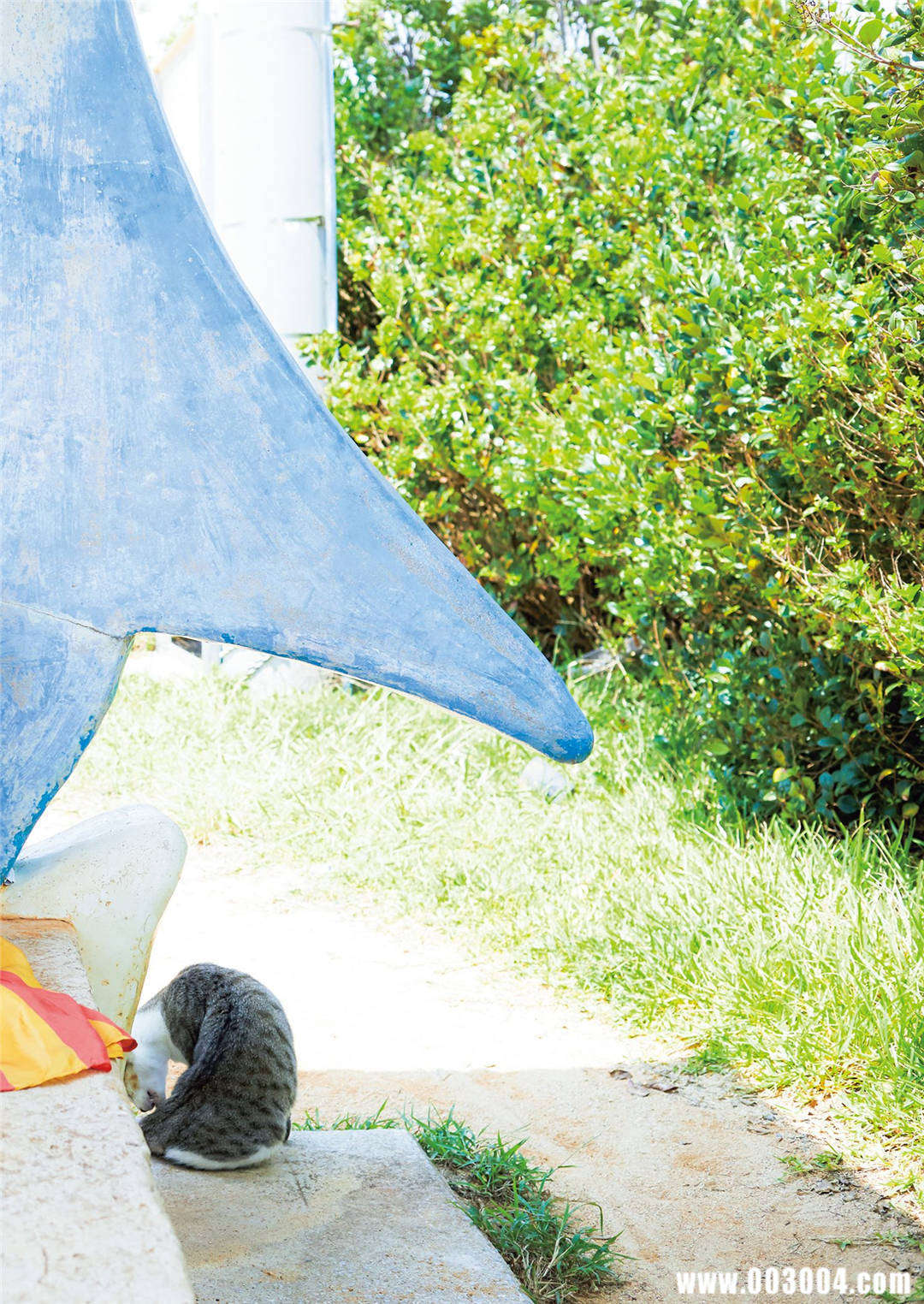 今田美樱1st写真集《生命力》