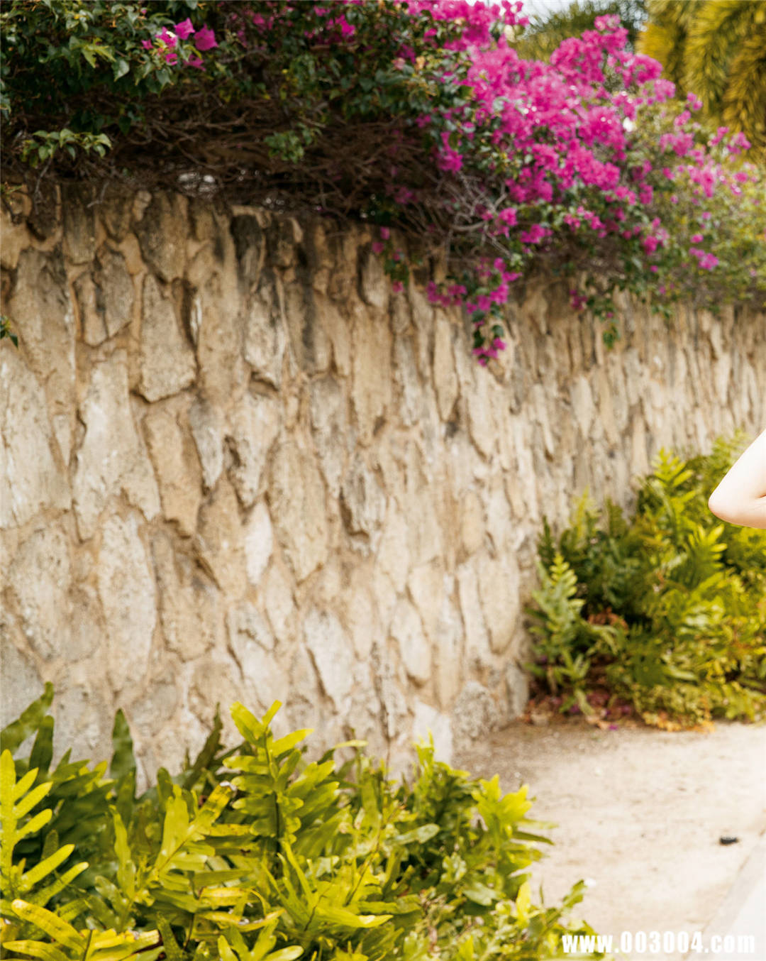 佐野雏子写真集《最高のひなこ》高清全本