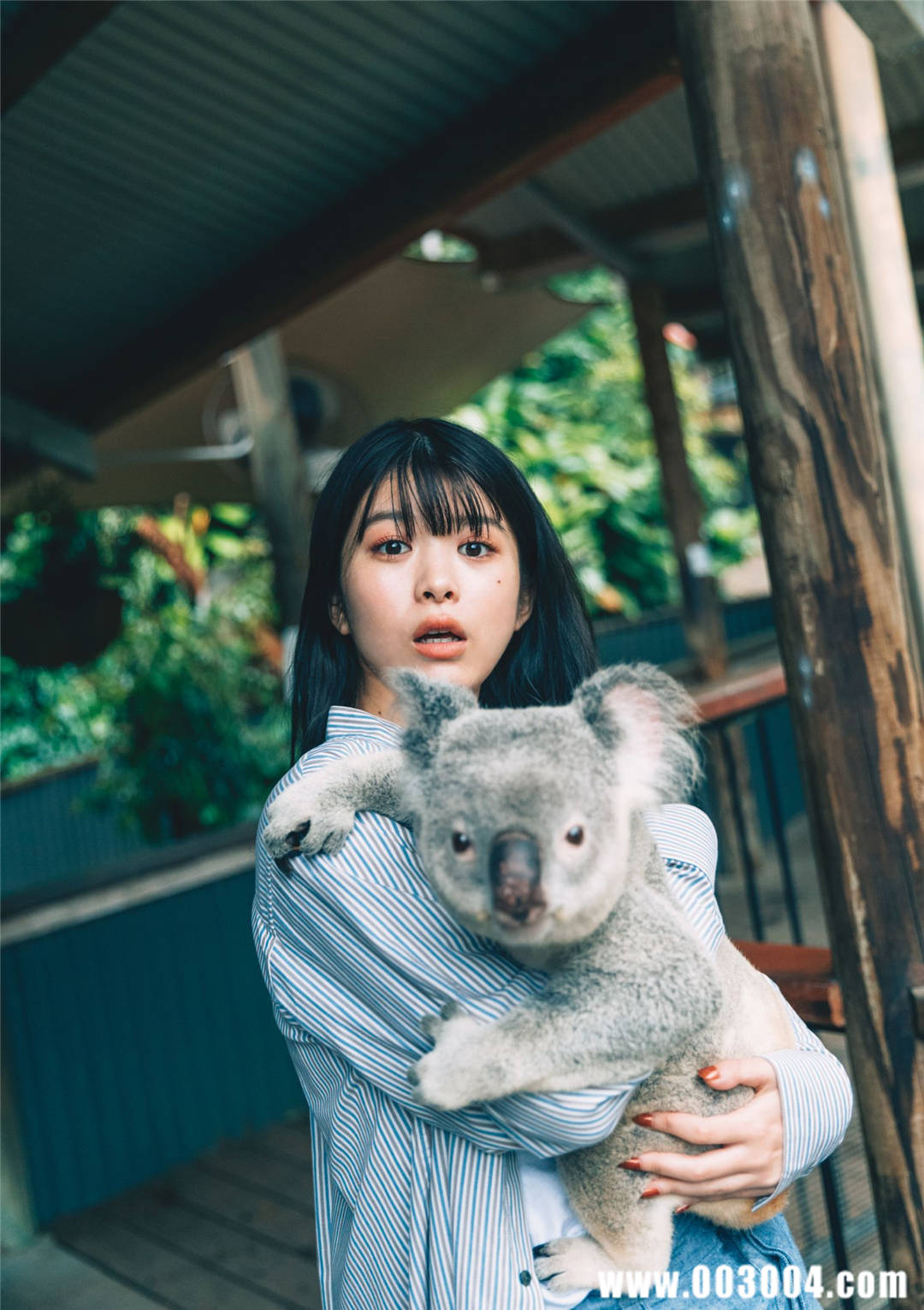 马场富美加首部旅行书《马场ふみか ばばたび》：沉浸在树熊的拥抱中！