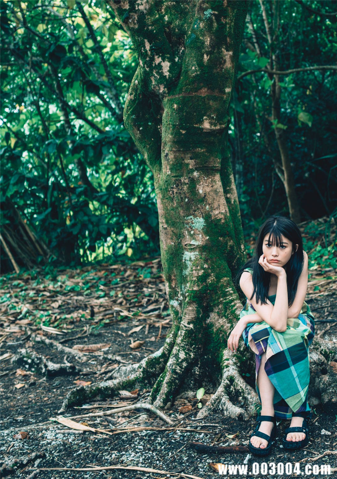 马场富美加首部旅行书《马场ふみか ばばたび》：沉浸在树熊的拥抱中！