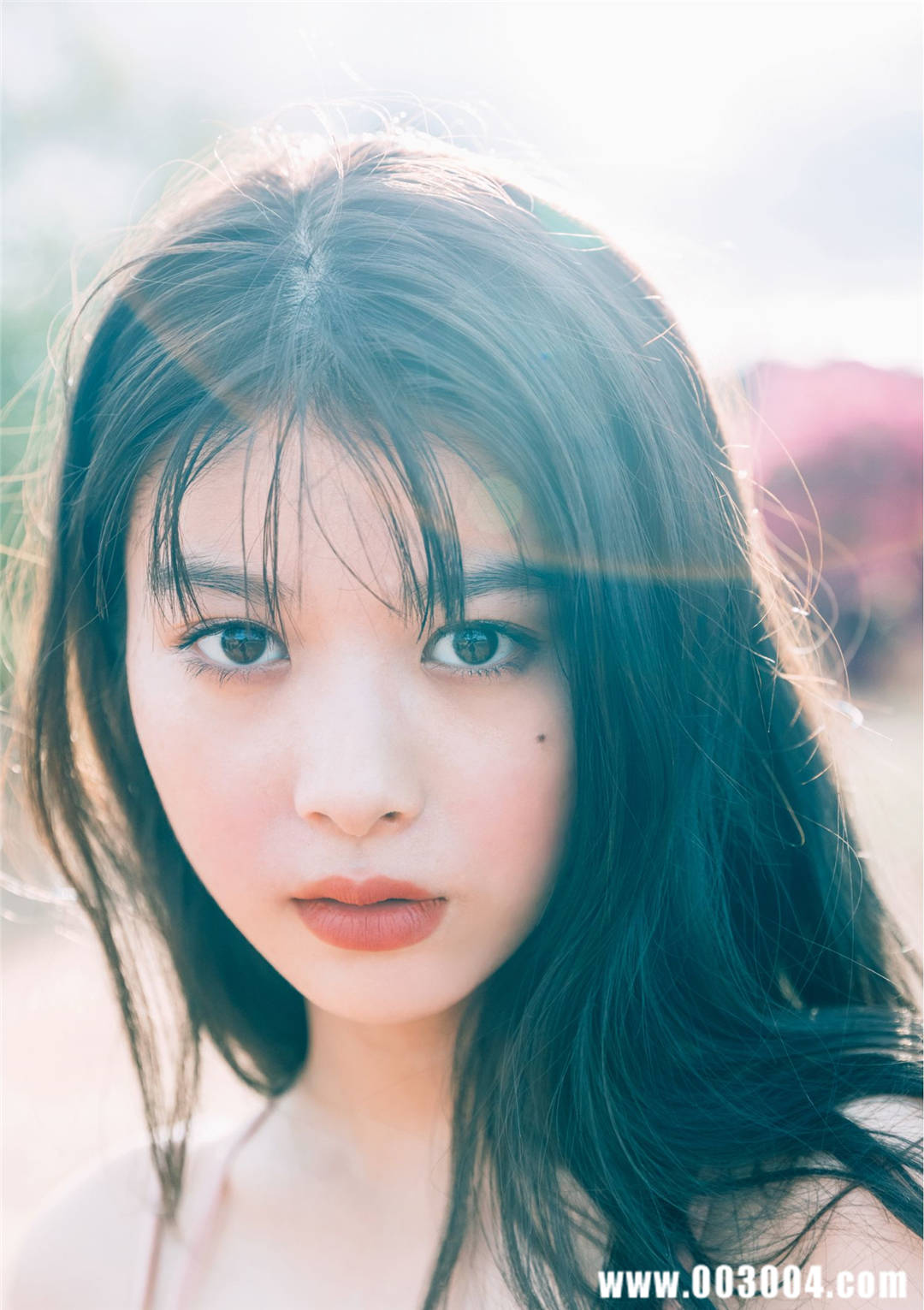 马场富美加首部旅行书《马场ふみか ばばたび》：沉浸在树熊的拥抱中！