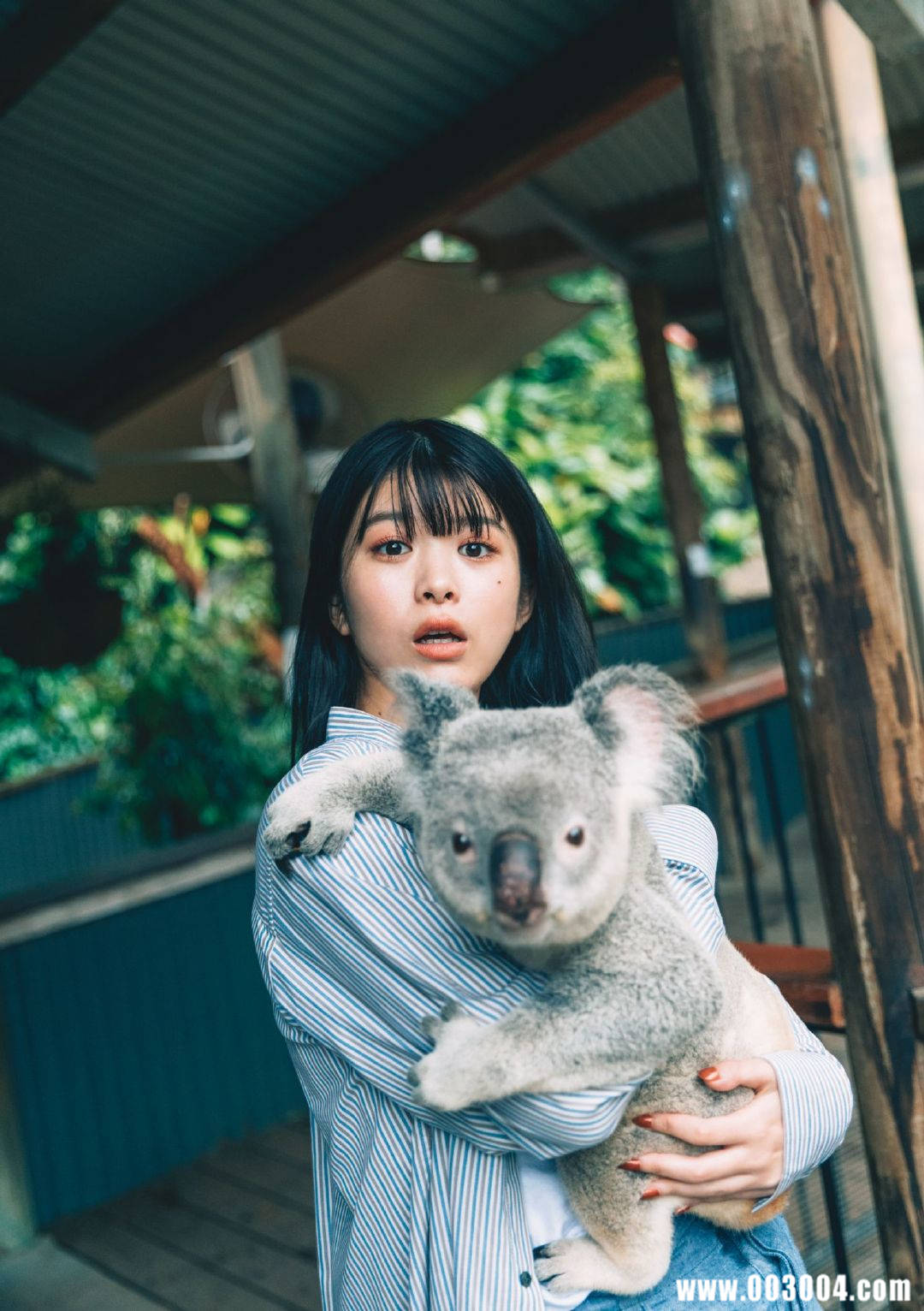 马场富美加首部旅行书《马场ふみか ばばたび》：沉浸在树熊的拥抱中！