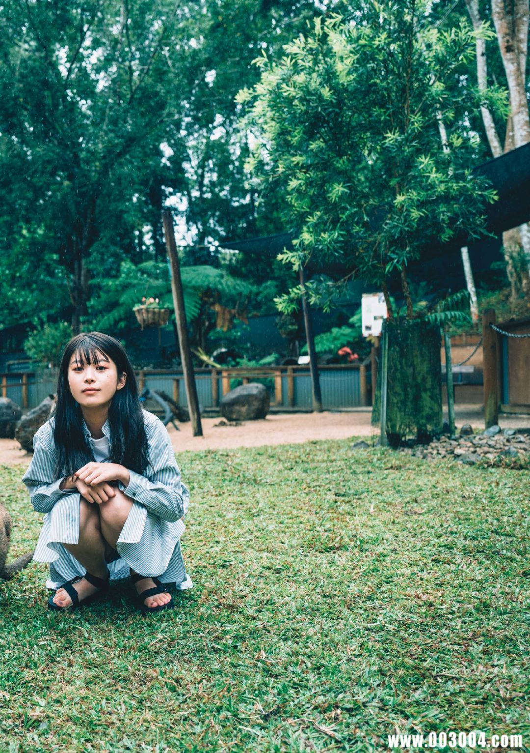马场富美加首部旅行书《马场ふみか ばばたび》：沉浸在树熊的拥抱中！