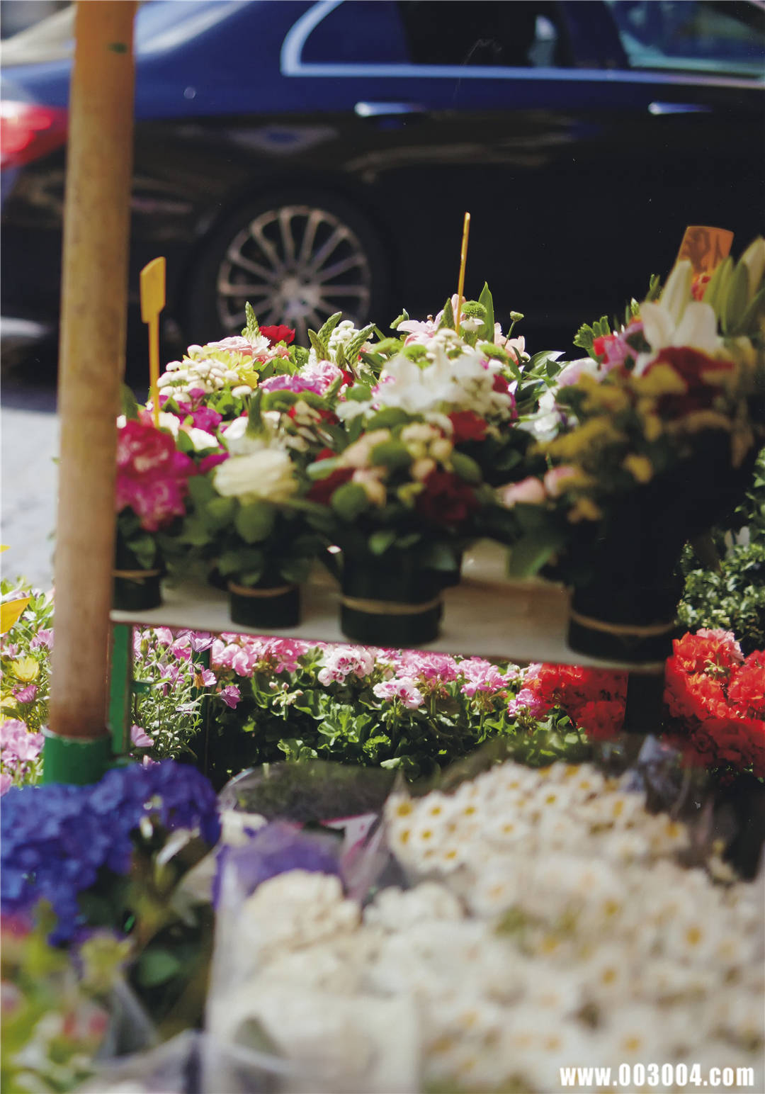 如恋人般の親密 | 新木优子2nd写真集《honey》