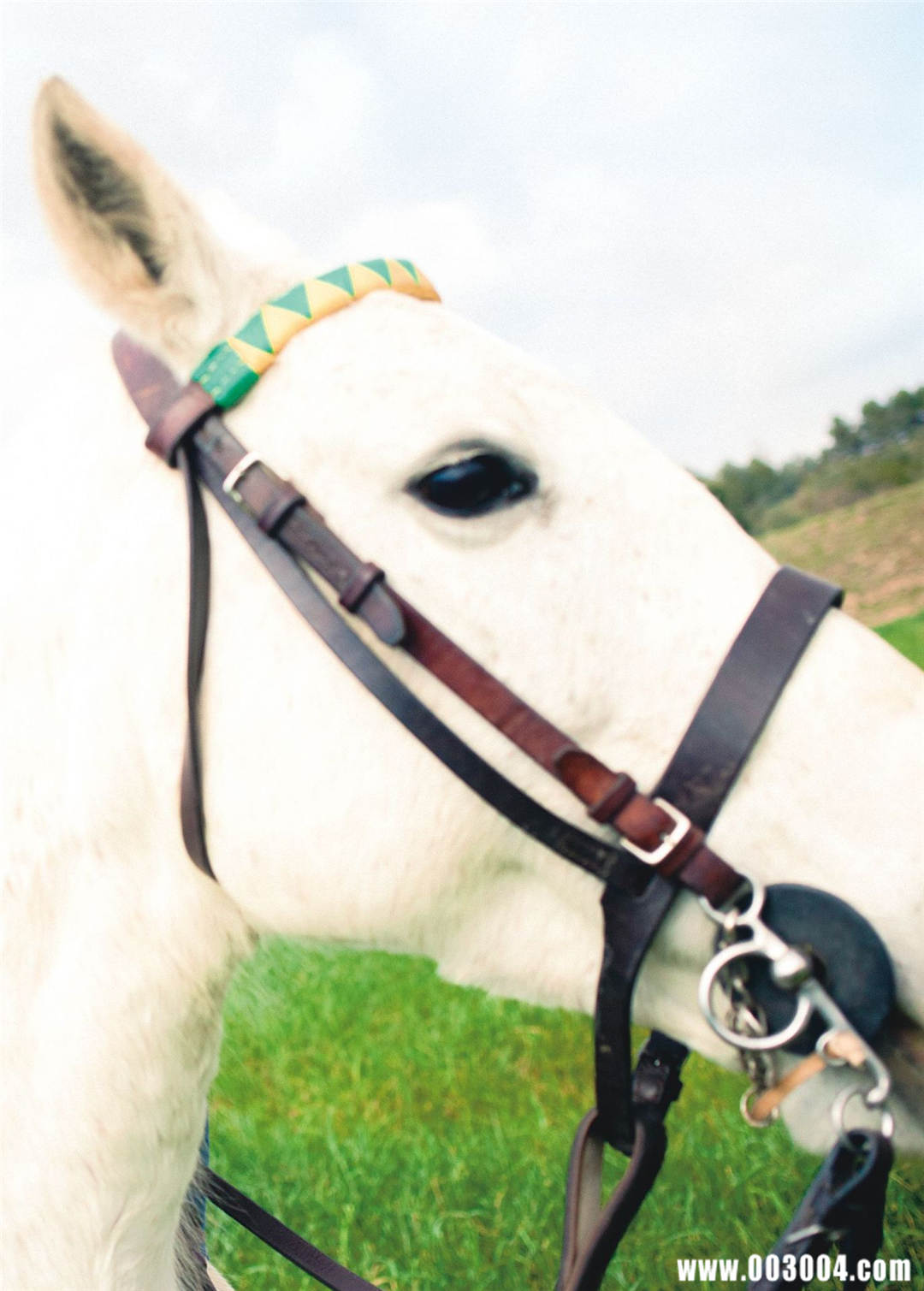 池田依来沙1ST写真集《Pinturita》高清全本