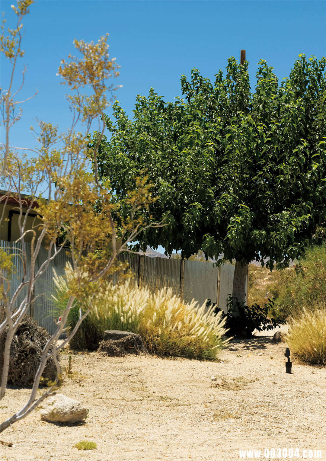 短发元气少女 | 山田南实1st写真集《みなみと》