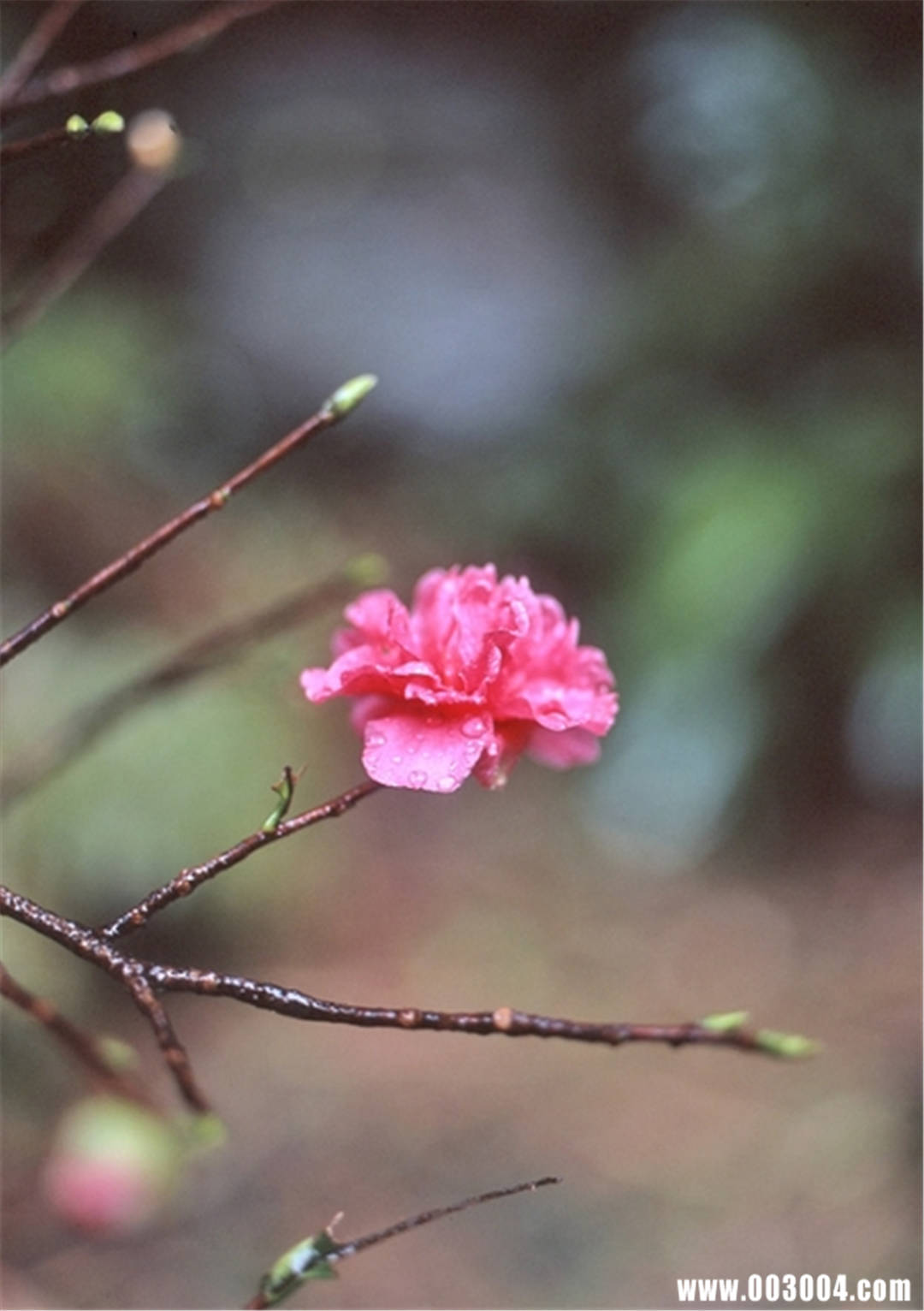 堀北真希写真集《Sweet Magic》高清全本