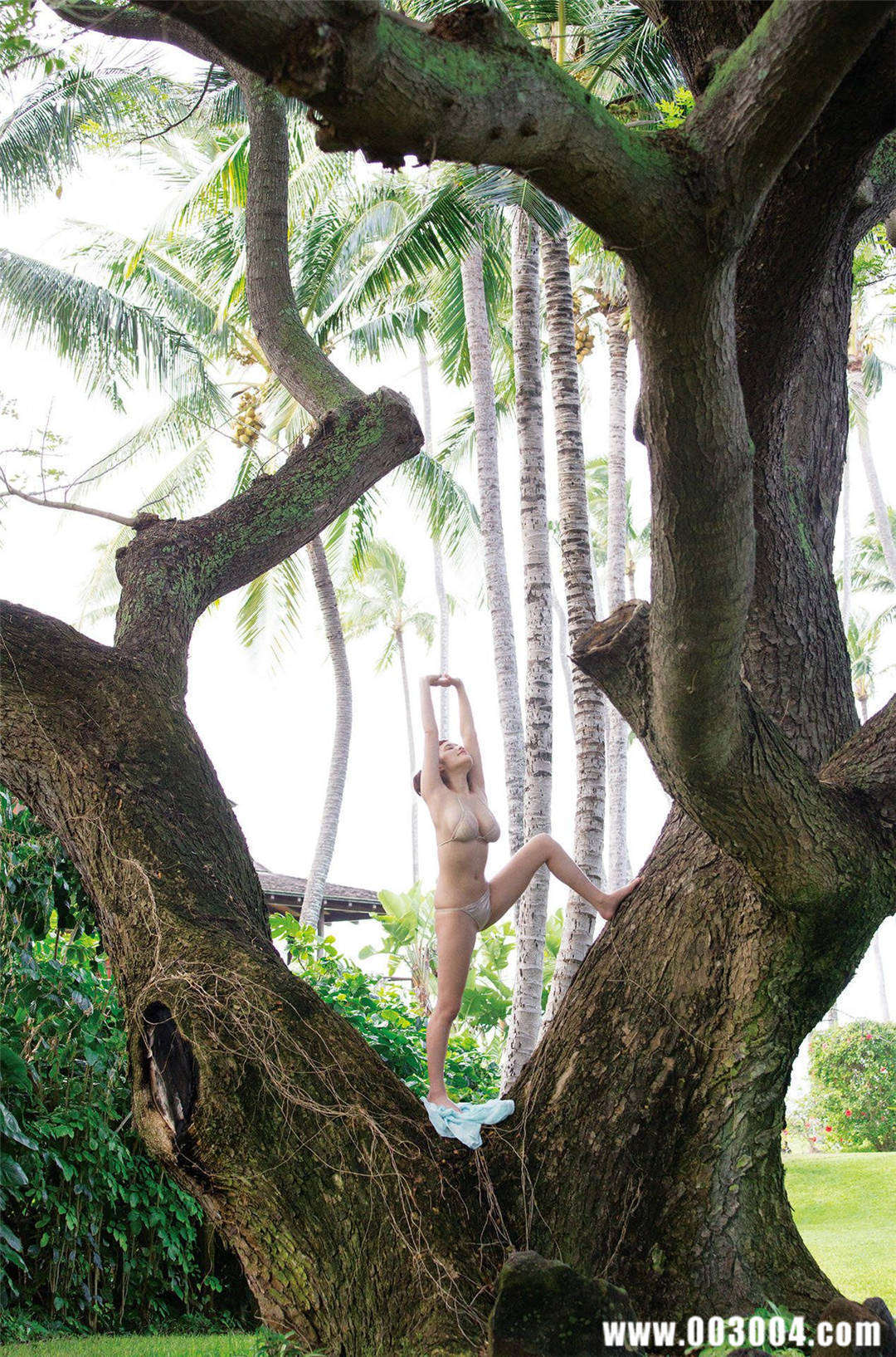 笕美和子1st写真集《维纳斯诞生》高清全本