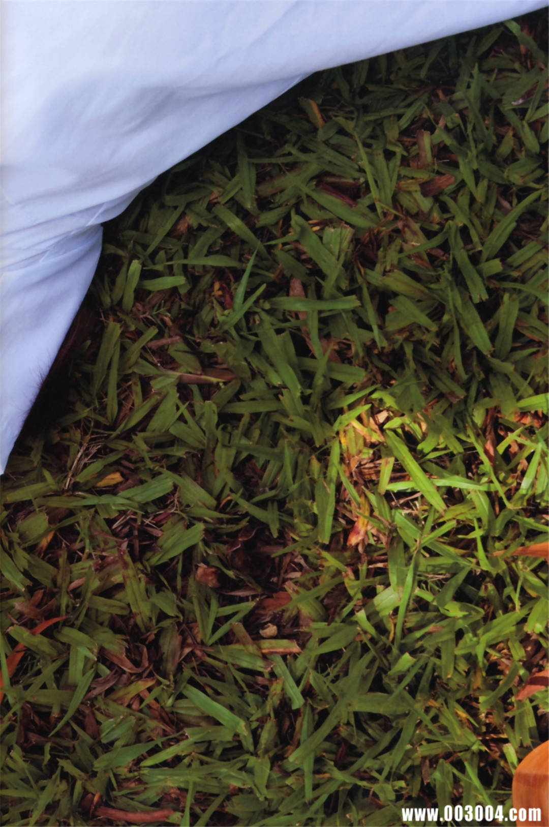 筱崎爱写真集《Love Scenes》高清全本