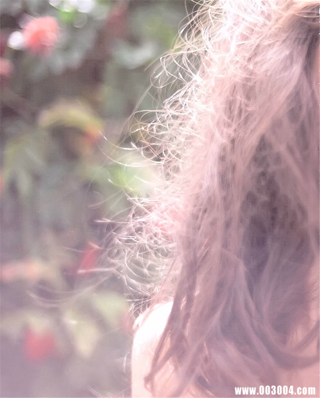 永远の大众情人 | 小嶋阳菜写真集《どうする》高清全本