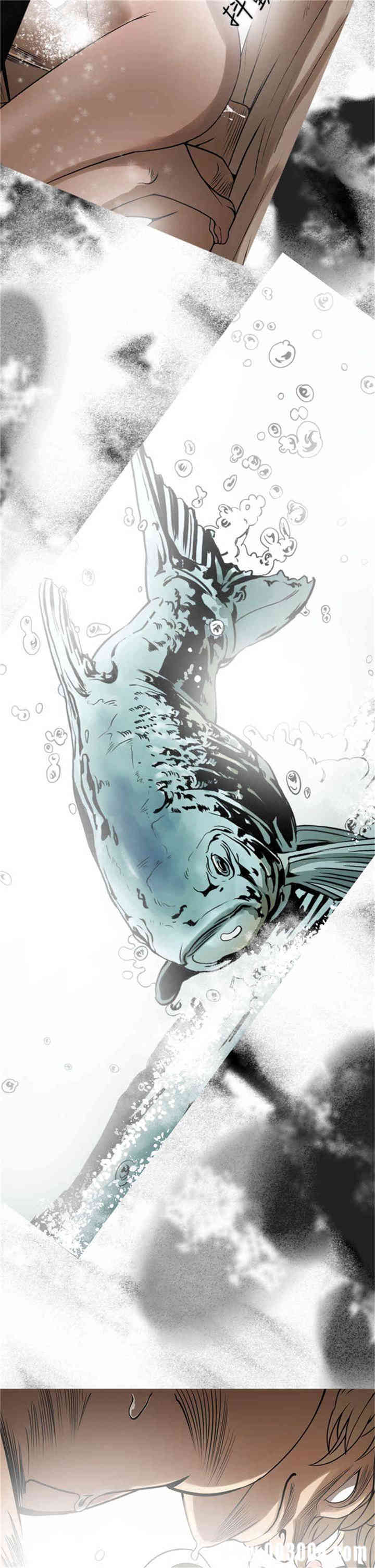 ACE禁断的诈欺之夜