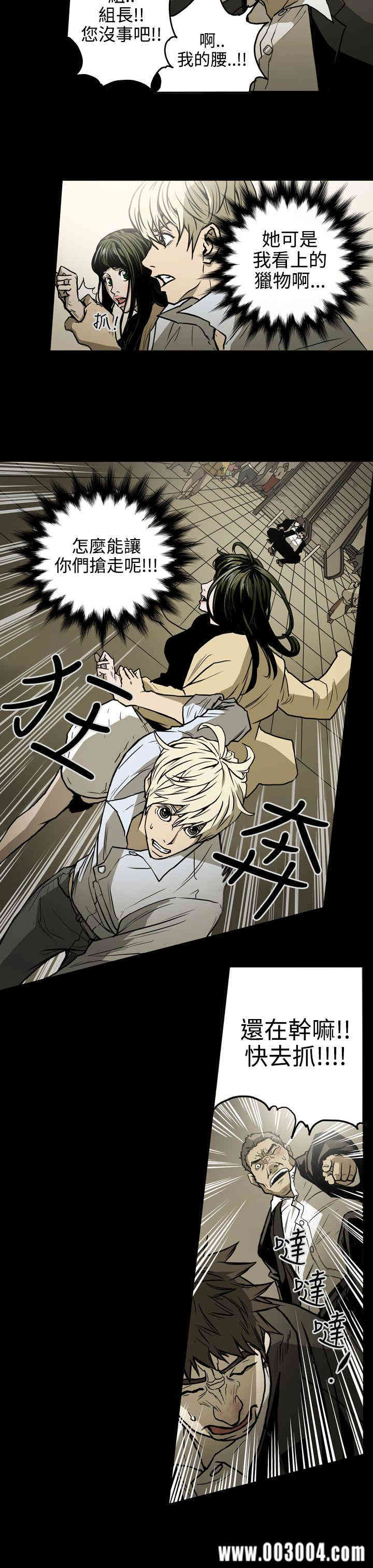 ACE禁断的诈欺之夜