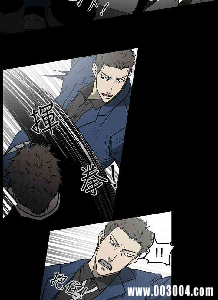 ACE禁断的诈欺之夜