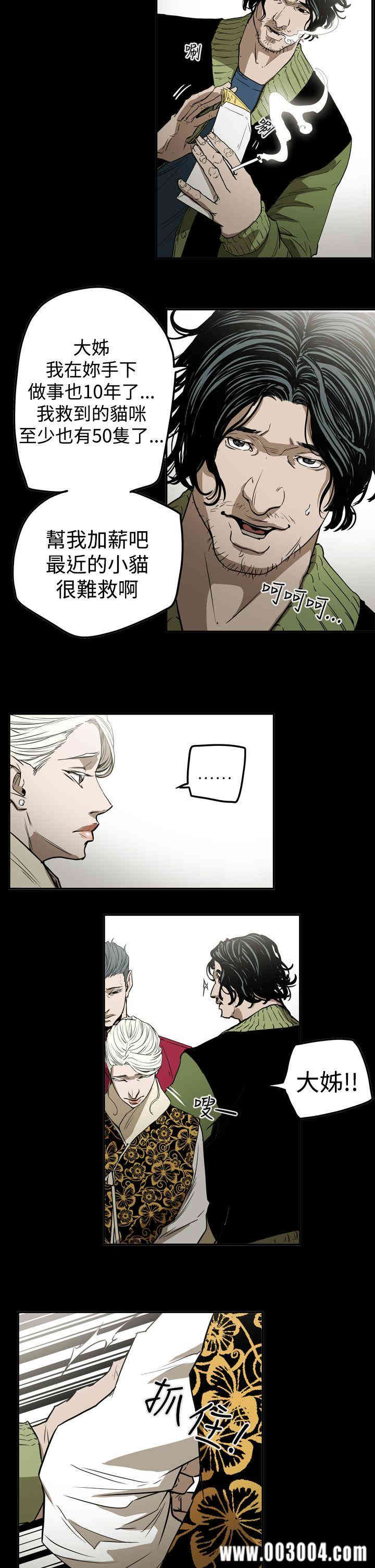 ACE禁断的诈欺之夜