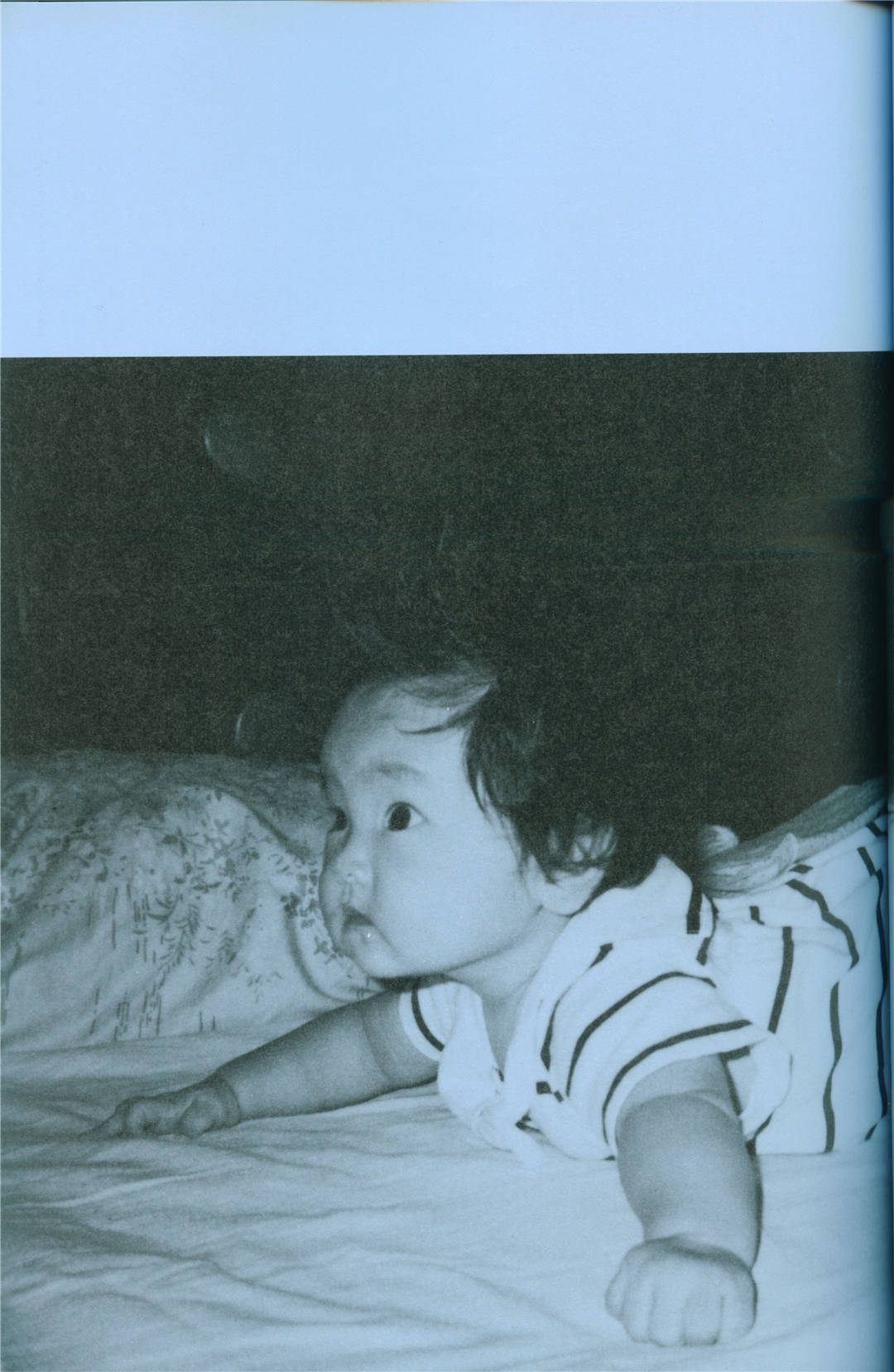 新垣结衣图集《SPECIAL SHINGO WAKAGI》