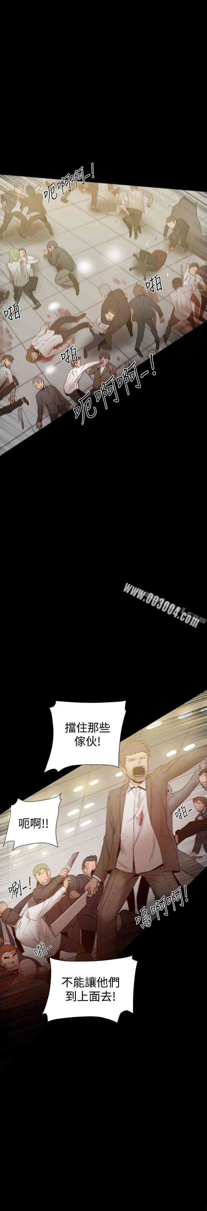 Thrill Girl(帮派女婿)