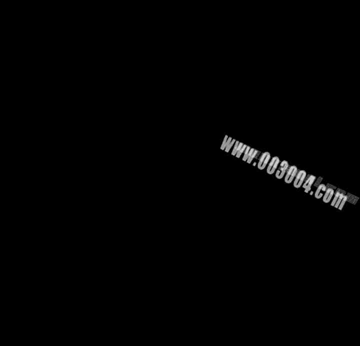 Thrill Girl(帮派女婿)