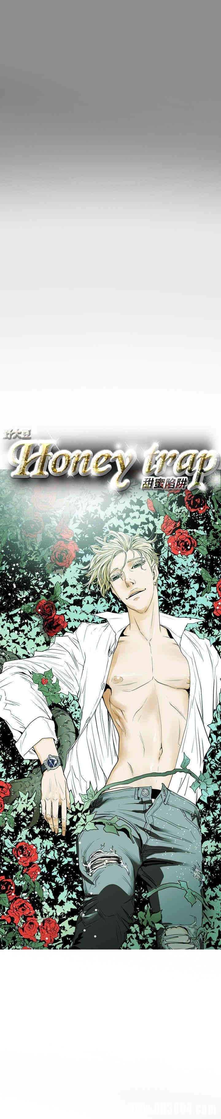 Honey trap 甜蜜陷阱