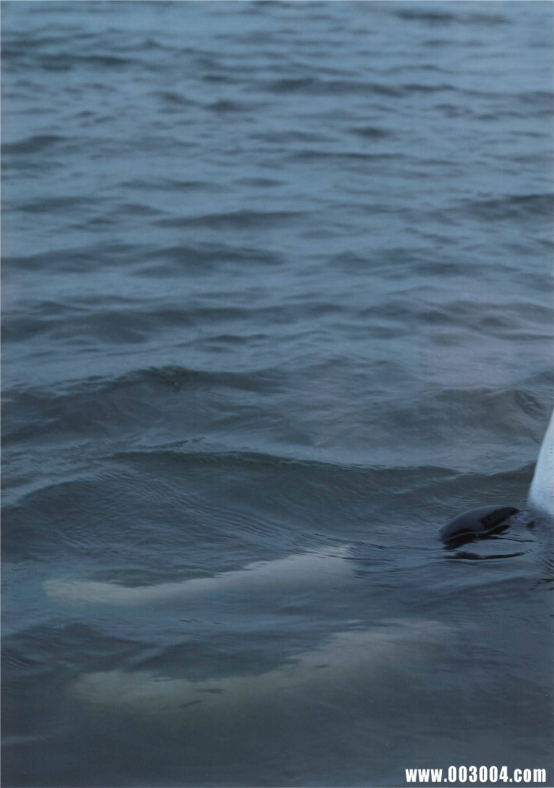 “噶宝” | 高桥朱里1st写真集《暧昧な自分》