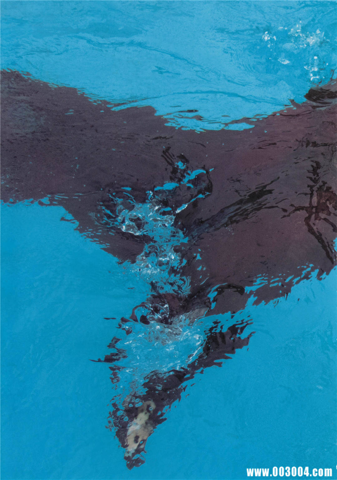 “噶宝” | 高桥朱里1st写真集《暧昧な自分》