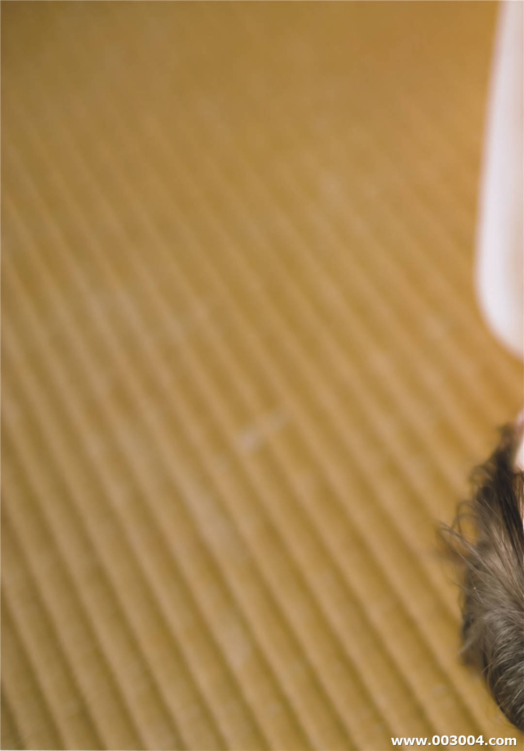 斋藤飞鸟1st写真集《潮騒》高清全本