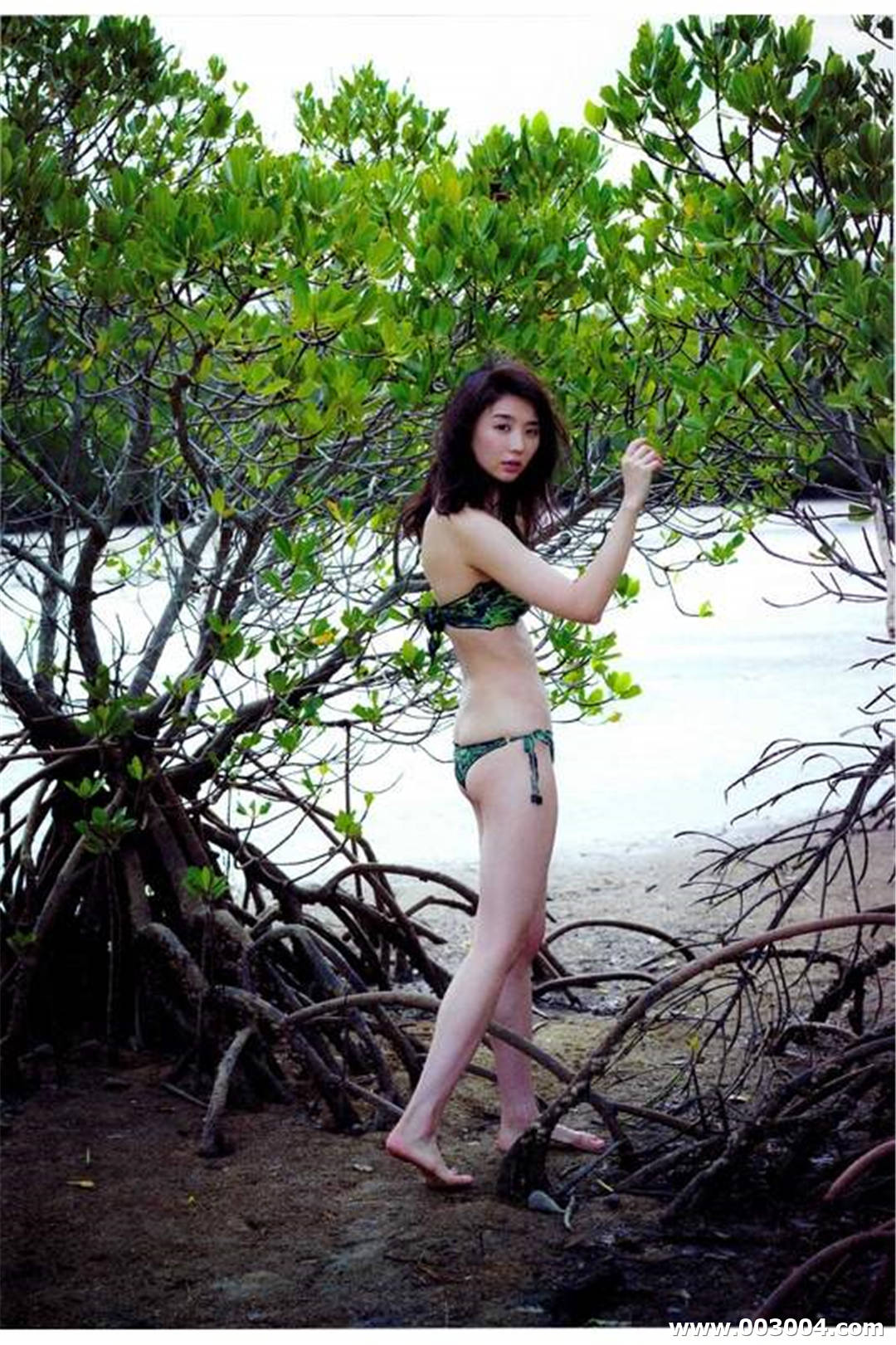 小野乃乃香写真集 《ぜんぶうそみたい》高清全本