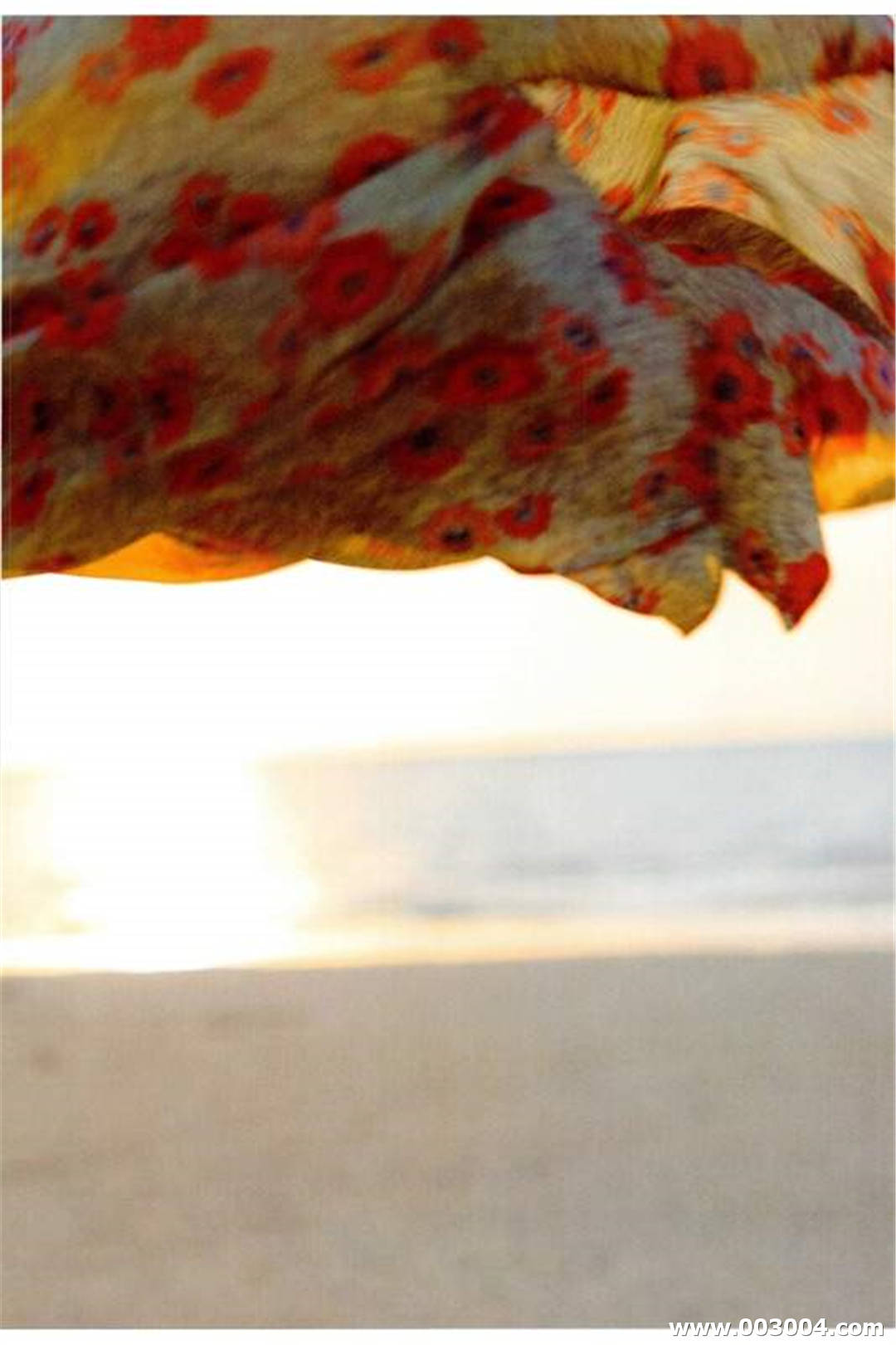 小野乃乃香写真集 《ぜんぶうそみたい》高清全本