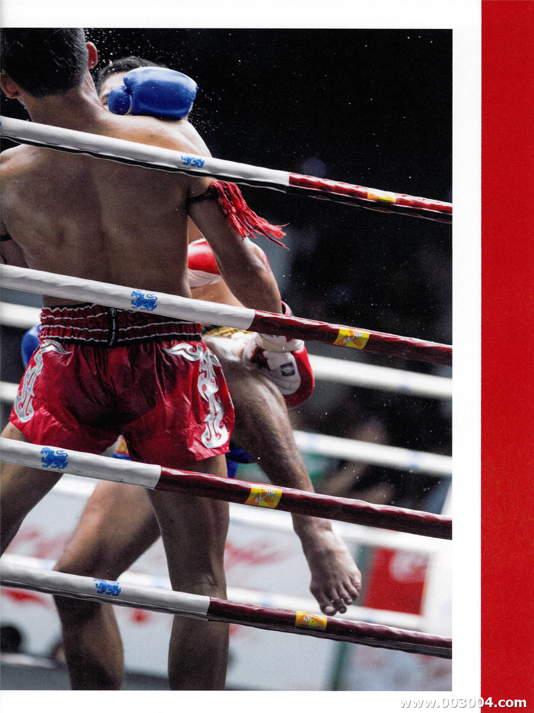 新内真衣1st写真集《どこにいるの》高清全本