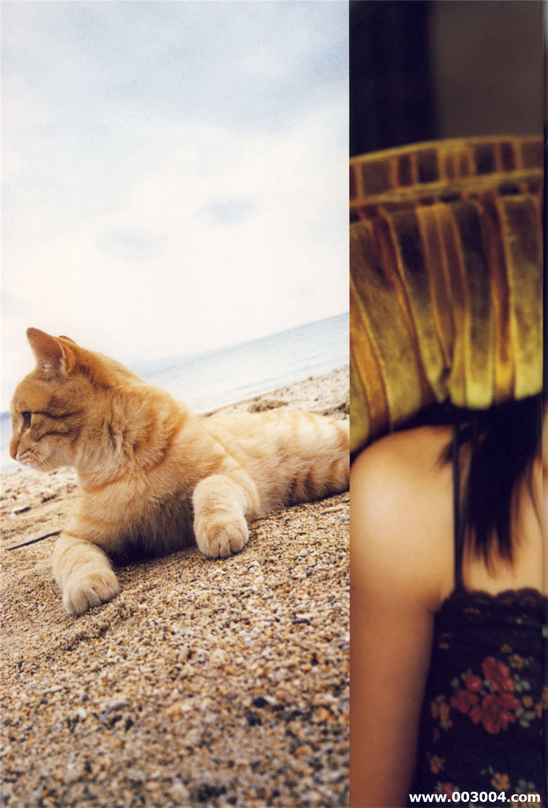 矢岛舞美写真集《舞美》高清全本