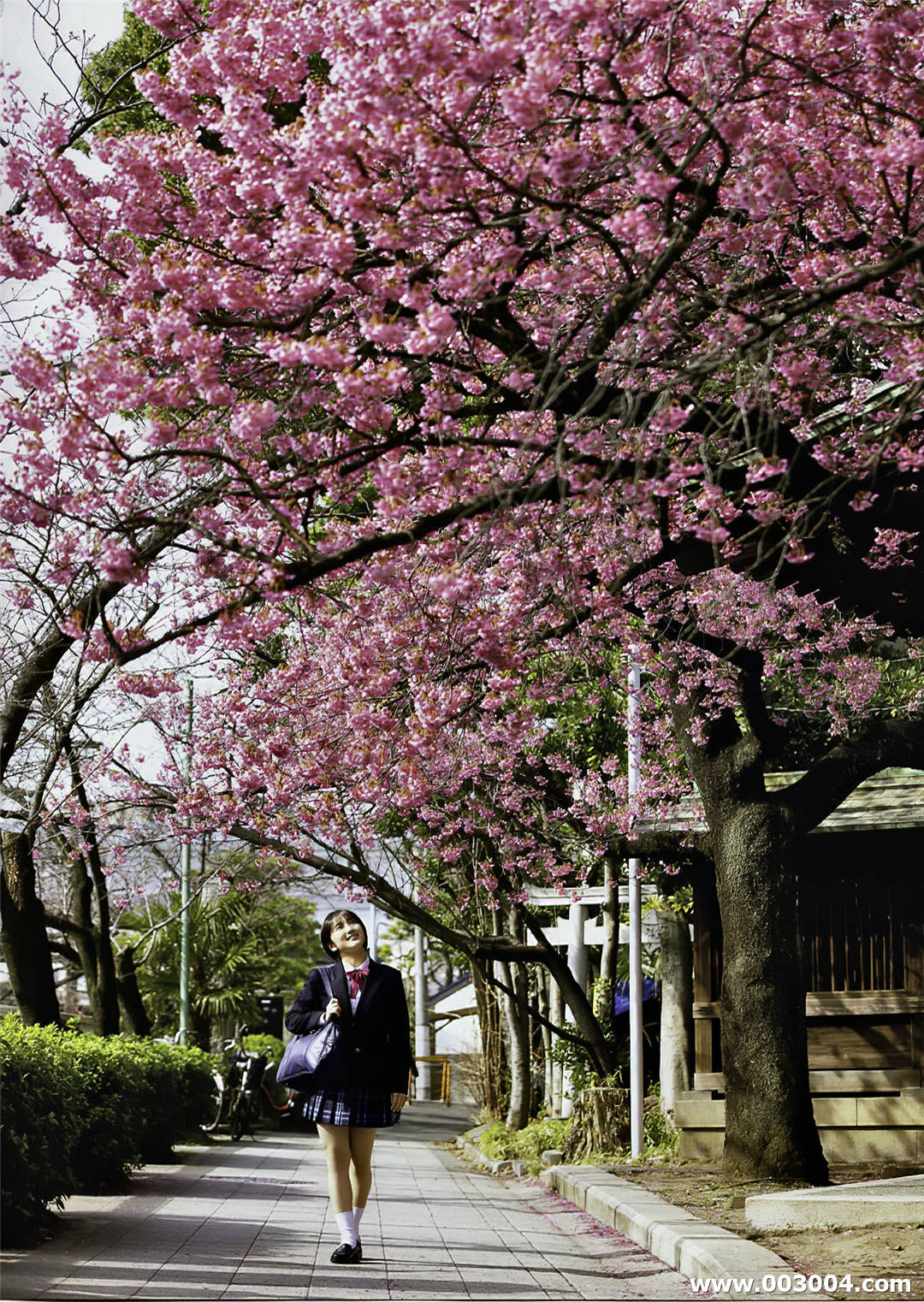 船木结毕业写真集《 結章－KESSYO－》高清全本