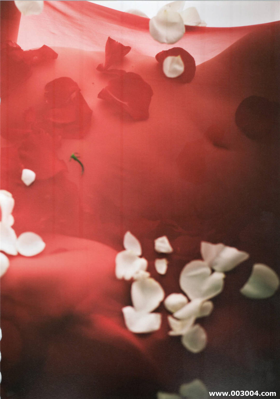 杉原杏璃写真集《AnRibbon》高清全本