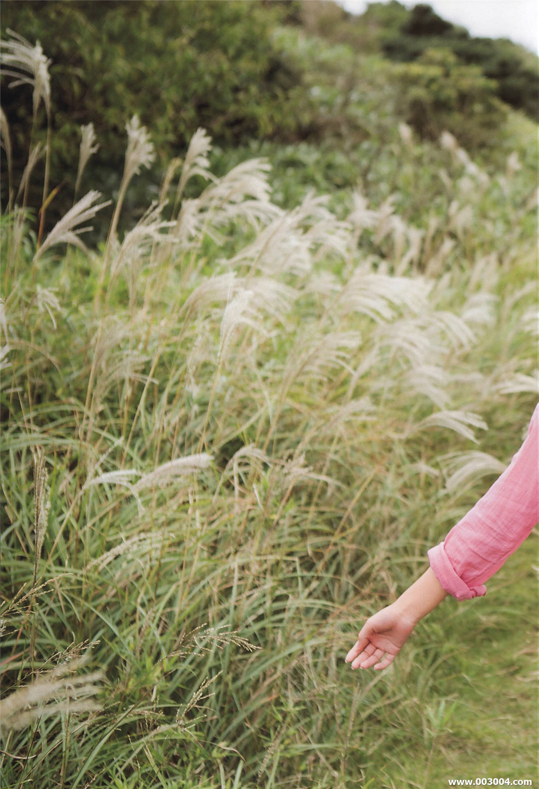 中岛早贵写真集《 N20 》高清全本