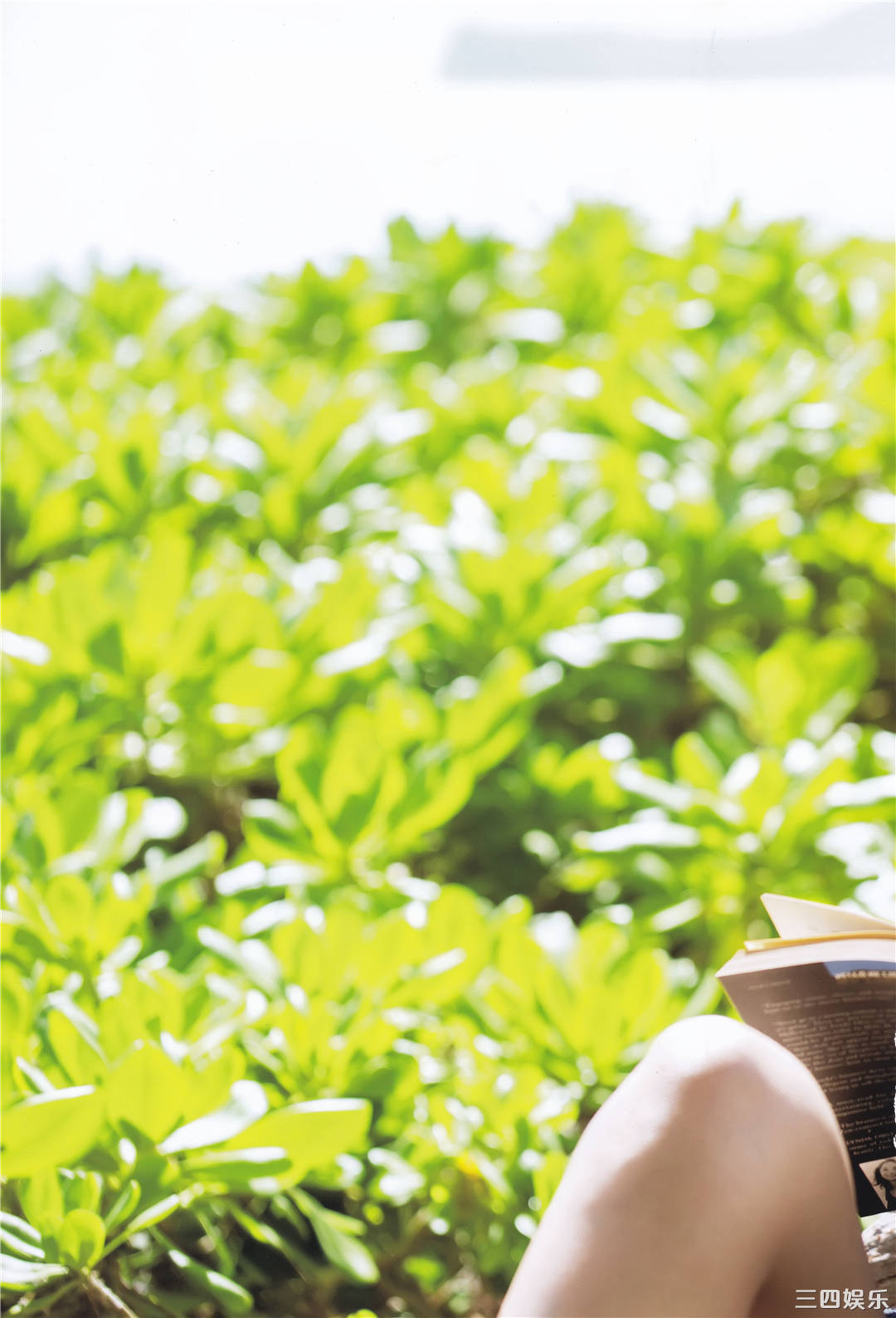 海の女神回归原点 | 佐野雏子写真集《 Hina 》高清全本