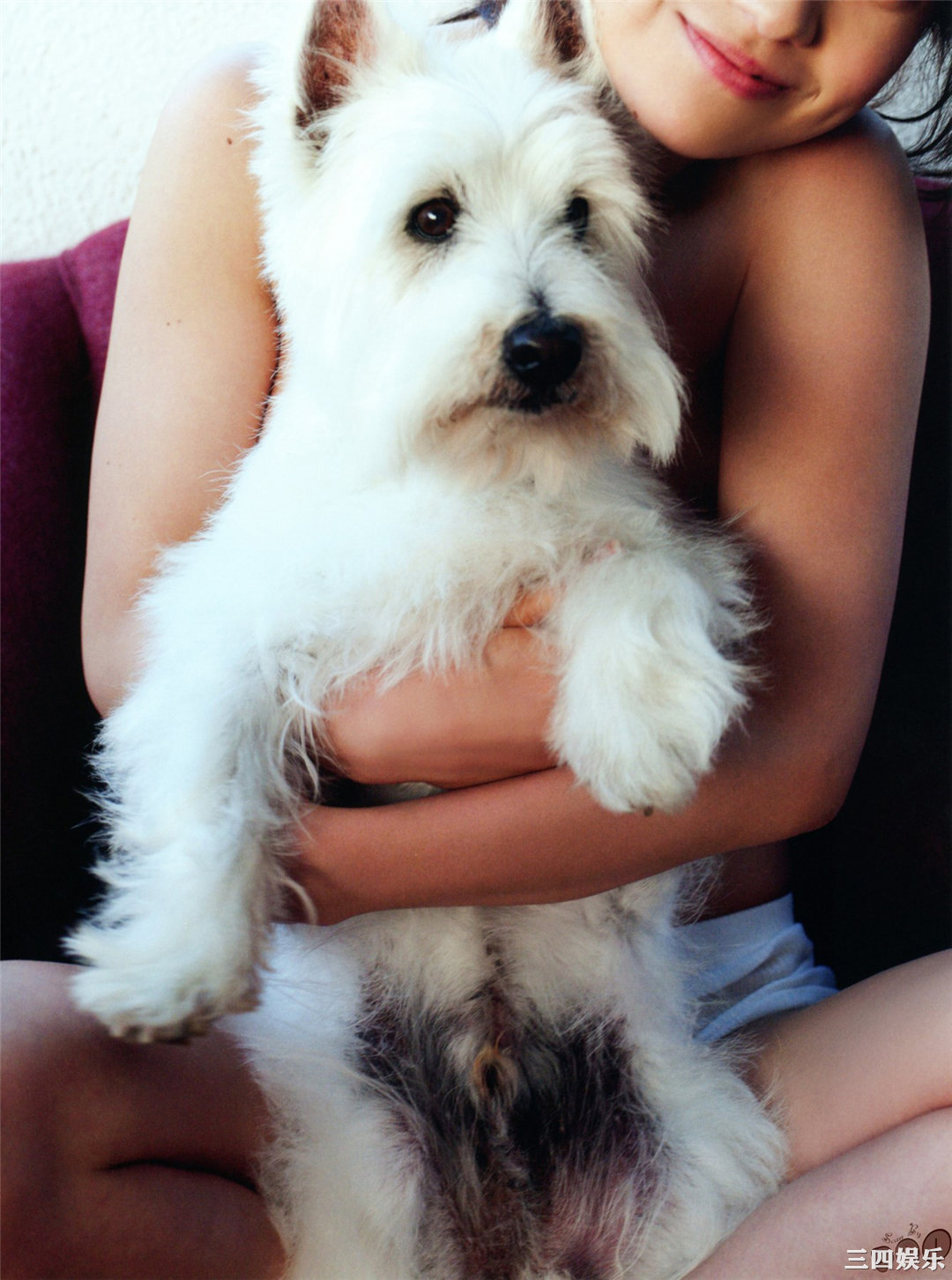 大岛优子写真集《君は、誰のもの》高清全本