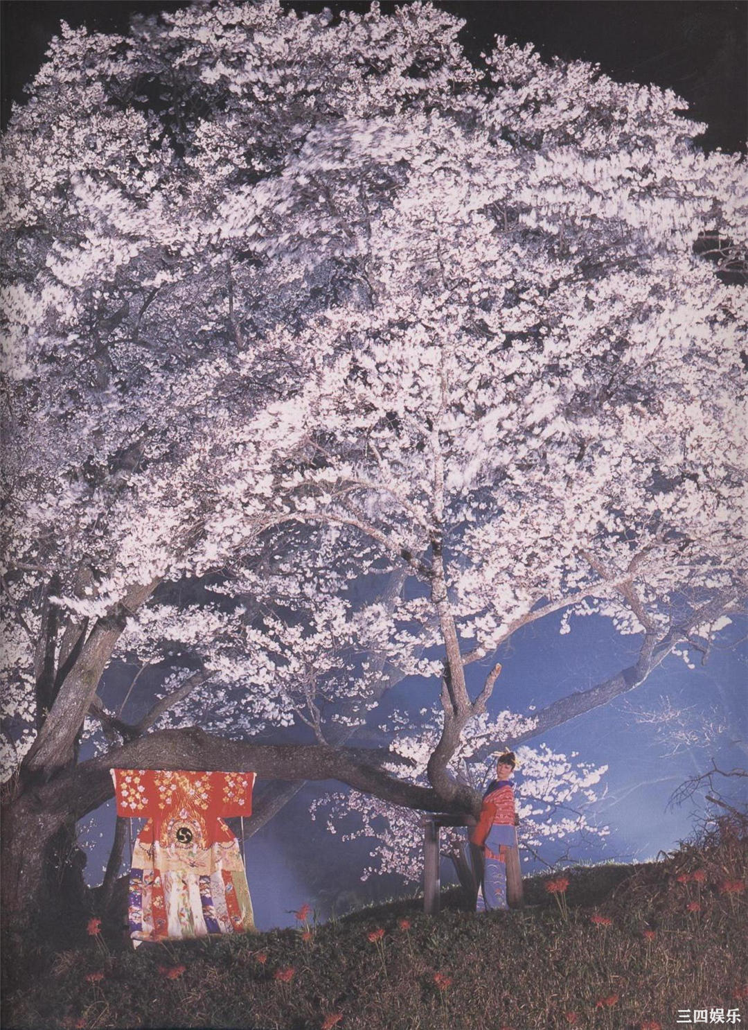 松坂庆子写真集《樱花传说》高清全本