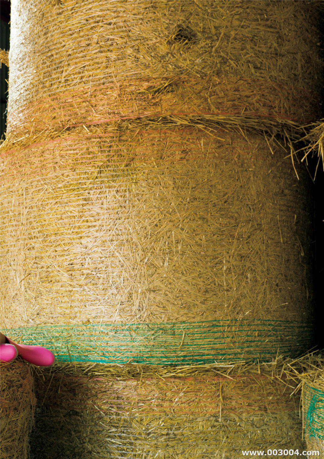 泽口爱华写真集《背伸び》高清全本