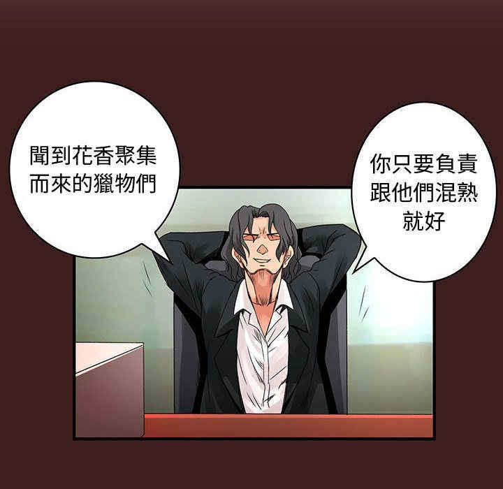 内衣社的菜鸟蓝荠理