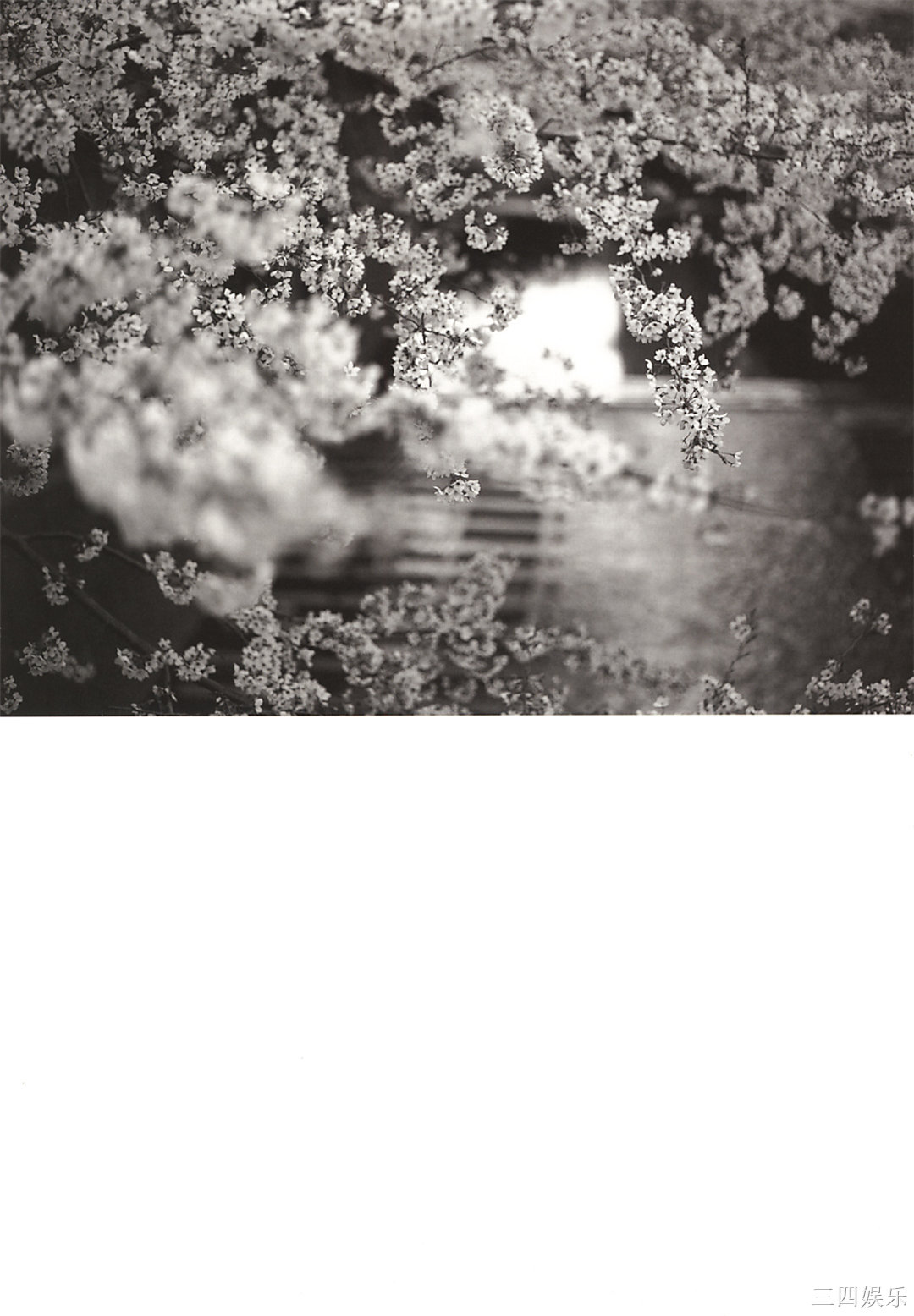 小西真奈美写真集《27》高清全本