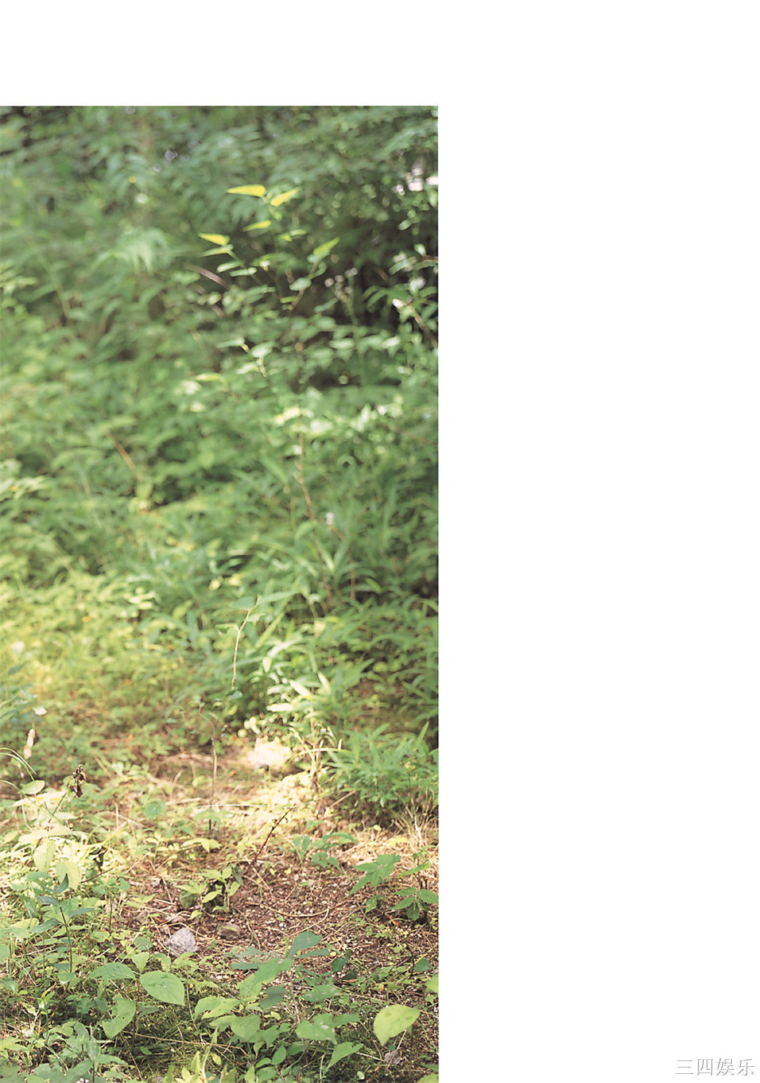 小西真奈美写真集《27》高清全本