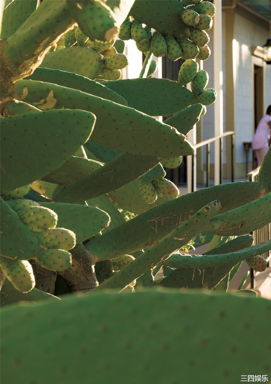 浅川梨奈写真集《NANA》高清全本