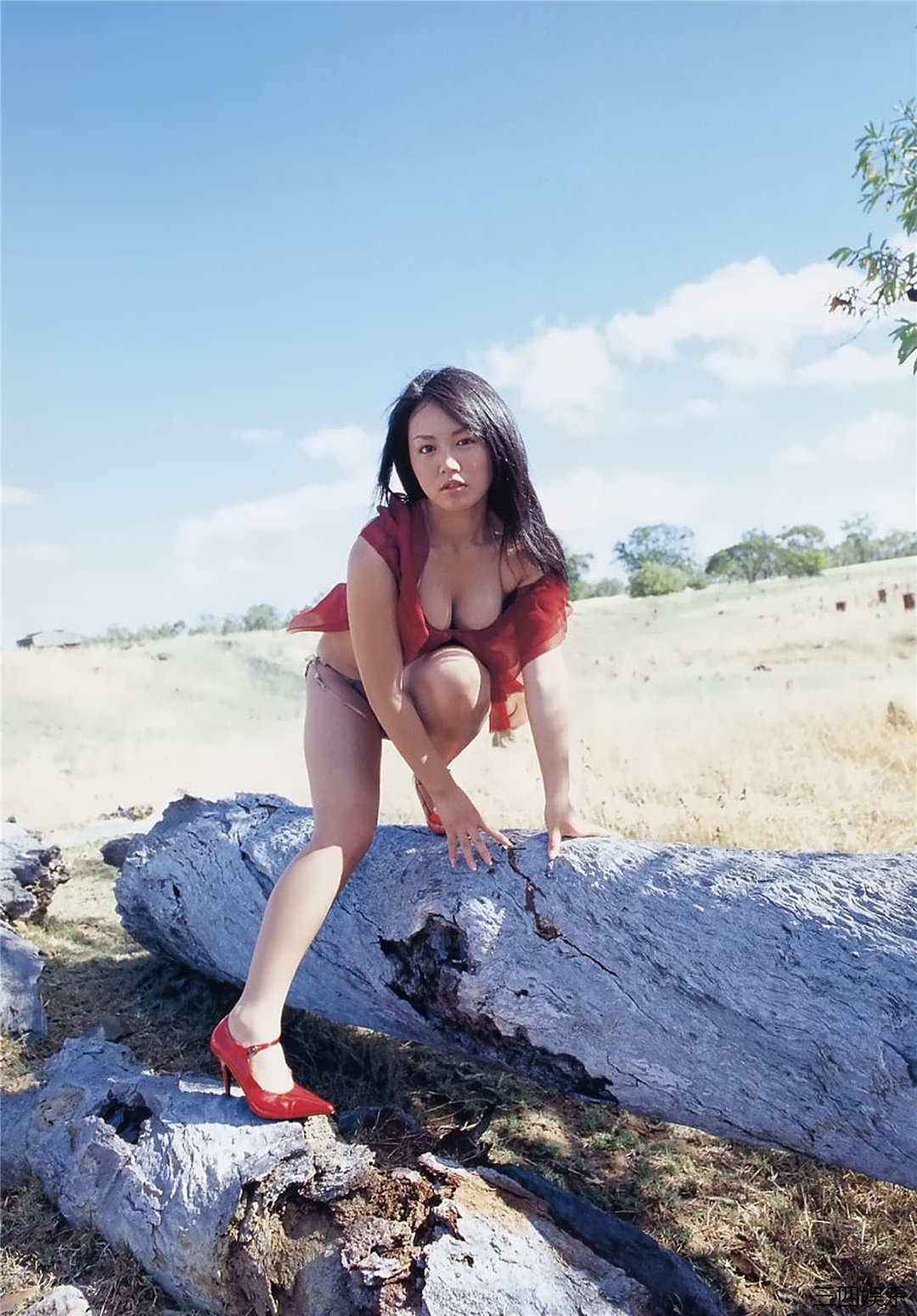 矶山沙也加写真集《ism》高清全本