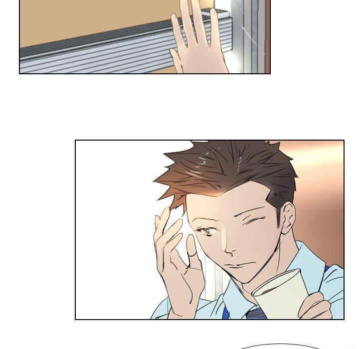 职场X乐园/职场秘密恋情