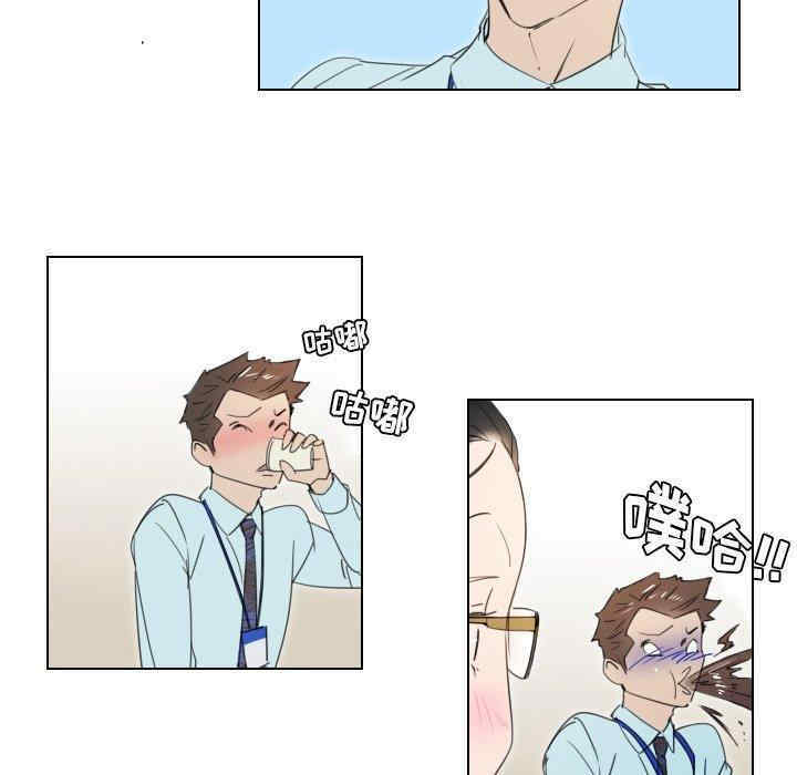 职场X乐园/职场秘密恋情