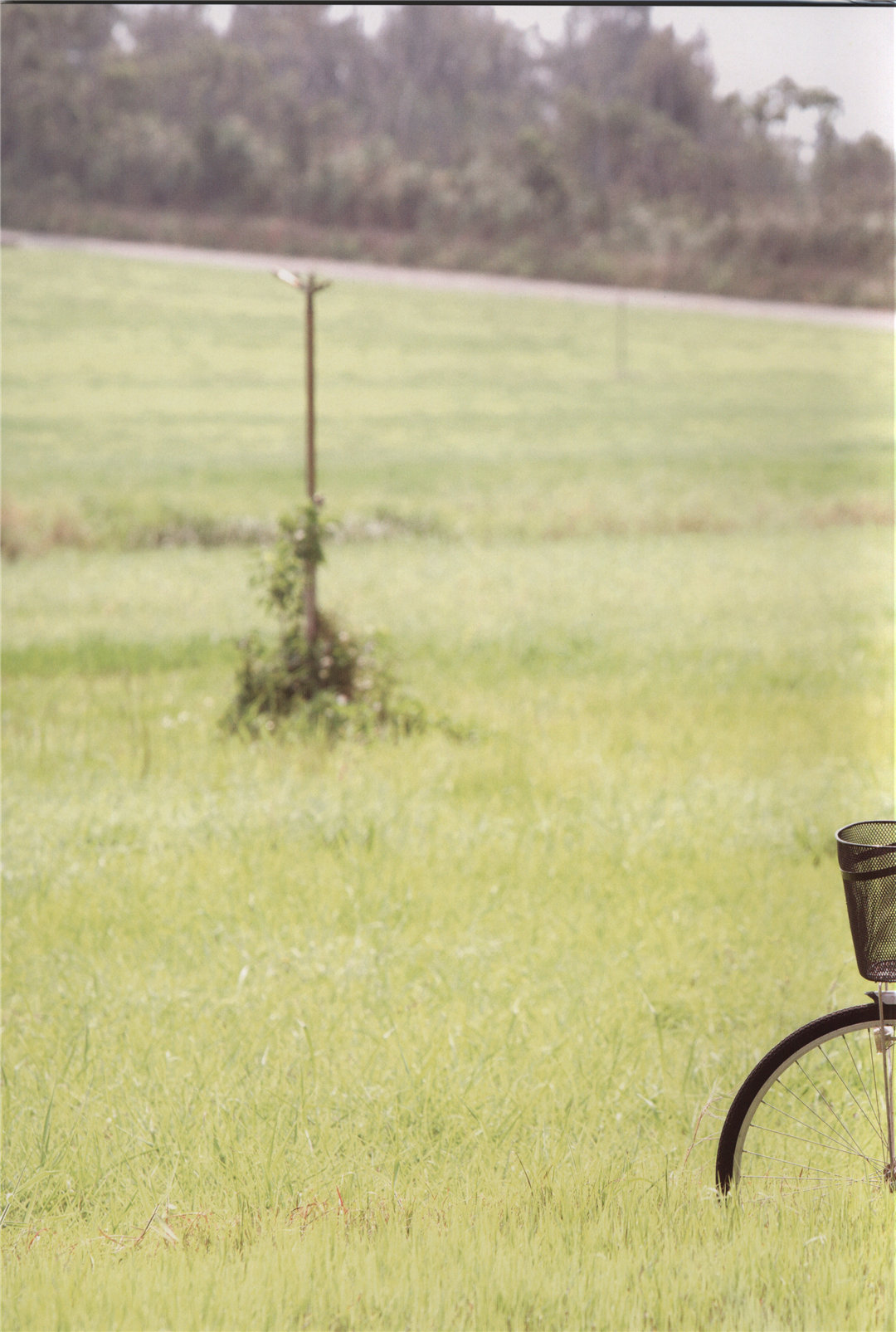 宫本佳林1ST写真集《佳林》高清全本